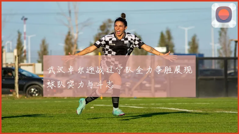 武汉卓尔迎战辽宁队全力争胜展现球队实力与斗志